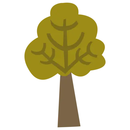 Tree Climbing Tree Climbing